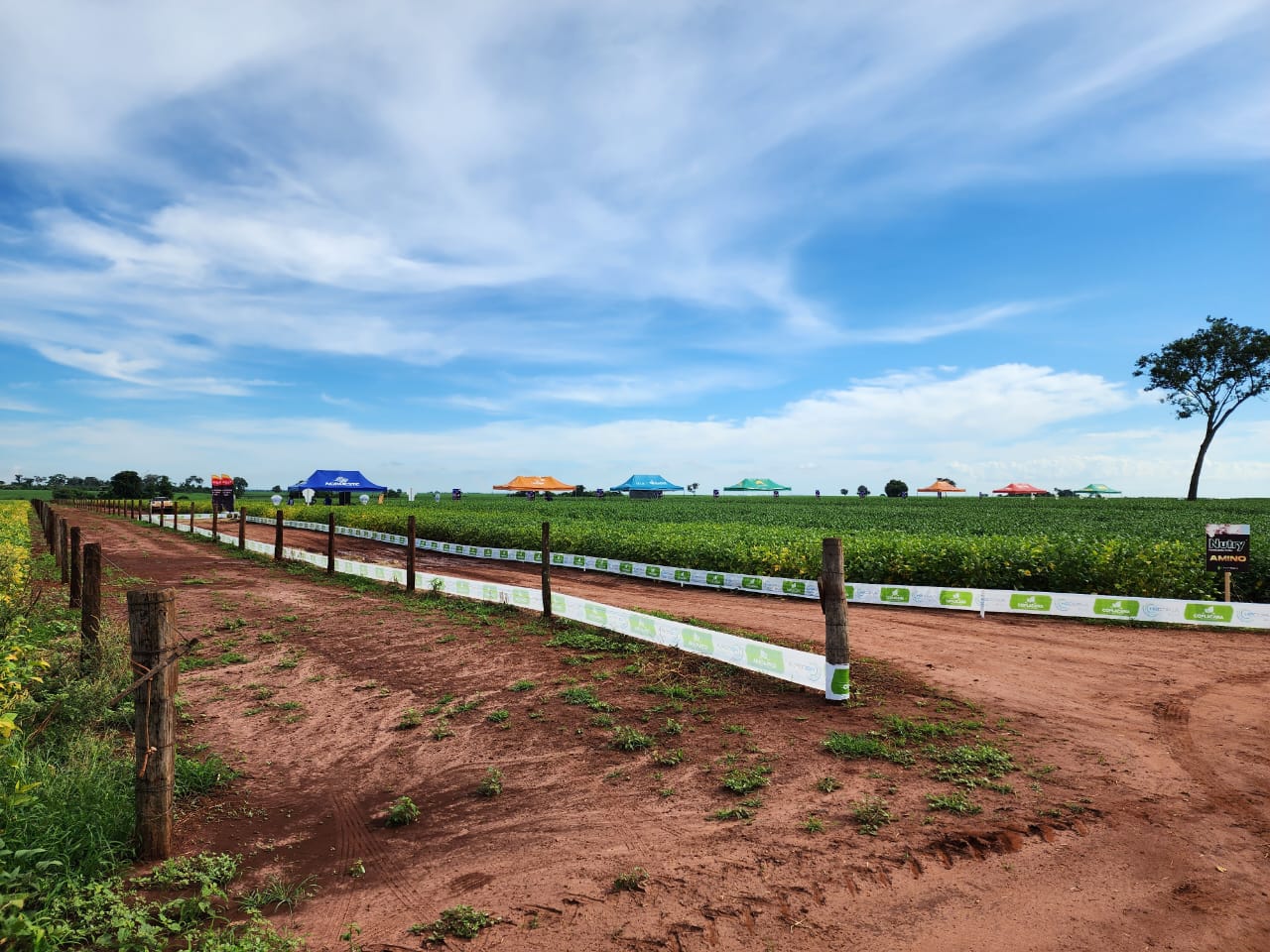 Dia de Campo Soja 2023 - Fazenda Santa Cecília, Araçatuba/SP