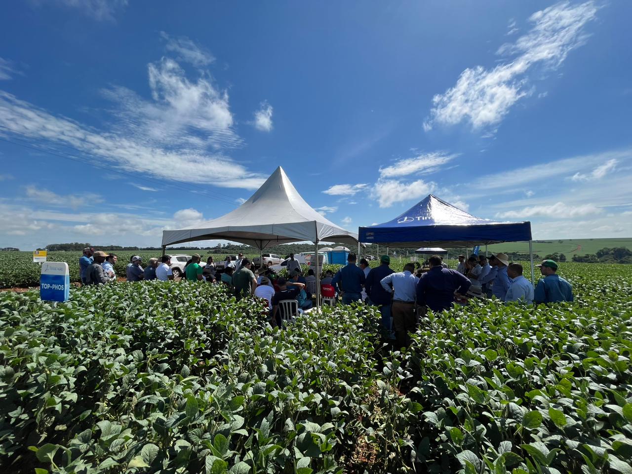 Dia de Campo Soja 2023 - Fazenda São Pedro, Itapetininga/SP