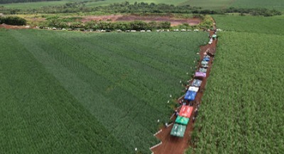 Dia de Campo Araras/SP 