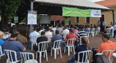 Dia de Campo Araçatuba/SP