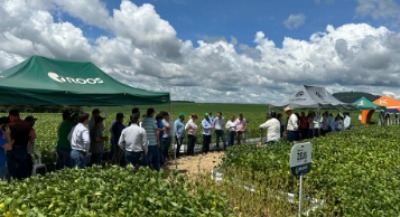 PROGAMA DE DIVERSIFICAÇÃO DE CULTURAS - DIAS DE CAMPO 2025