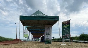 Dia de Campo Cosmópolis/SP