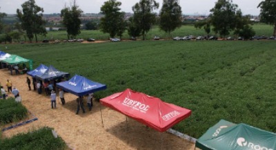 3ª Vitrine Tecnologica de cultivares de soja 2024