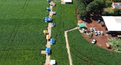 Dia de Campo Assis/SP