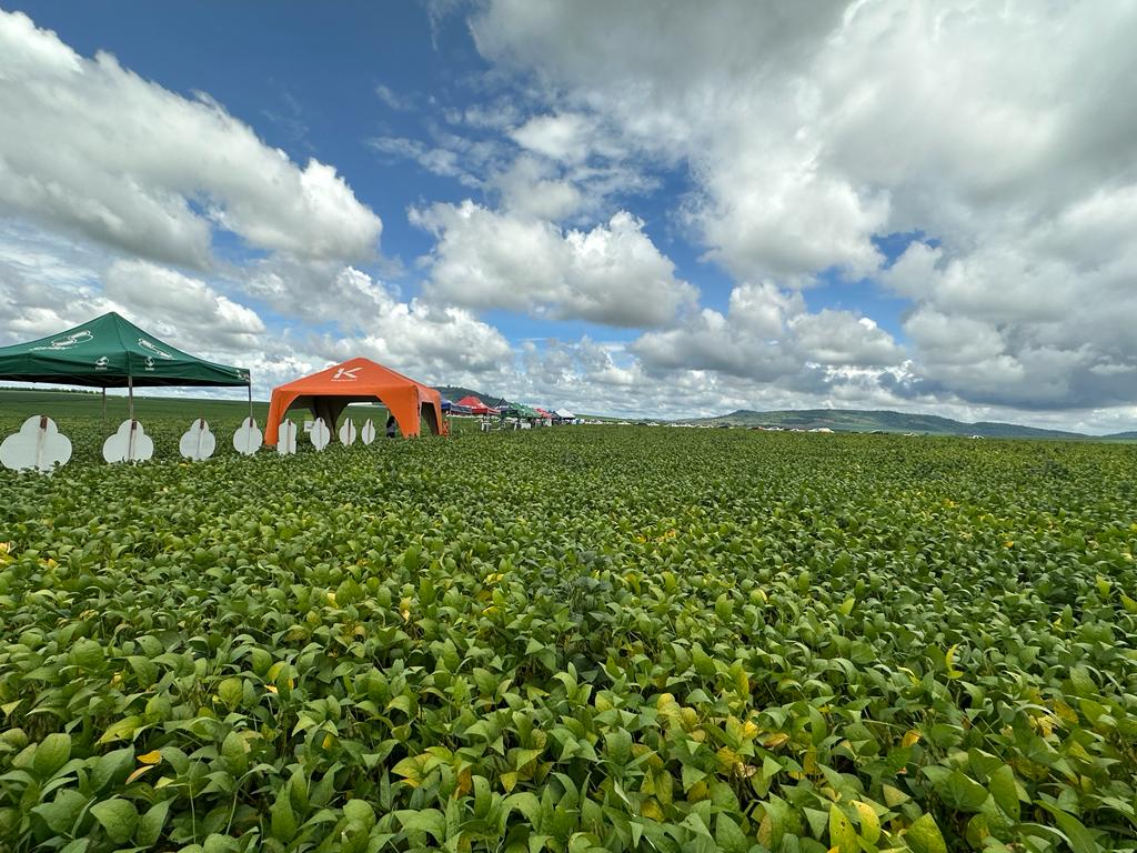 Dia de Campo Soja 2023 - Verissimo, Uberaba/MG