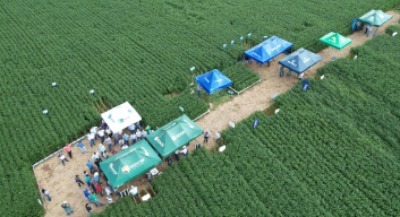 Dia de Campo Cerquilho/SP